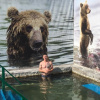 Фото объявления Александр — 1