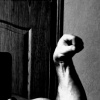 Фото объявления Серёга — 1