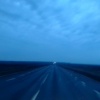 Фото объявления Мишка — 1